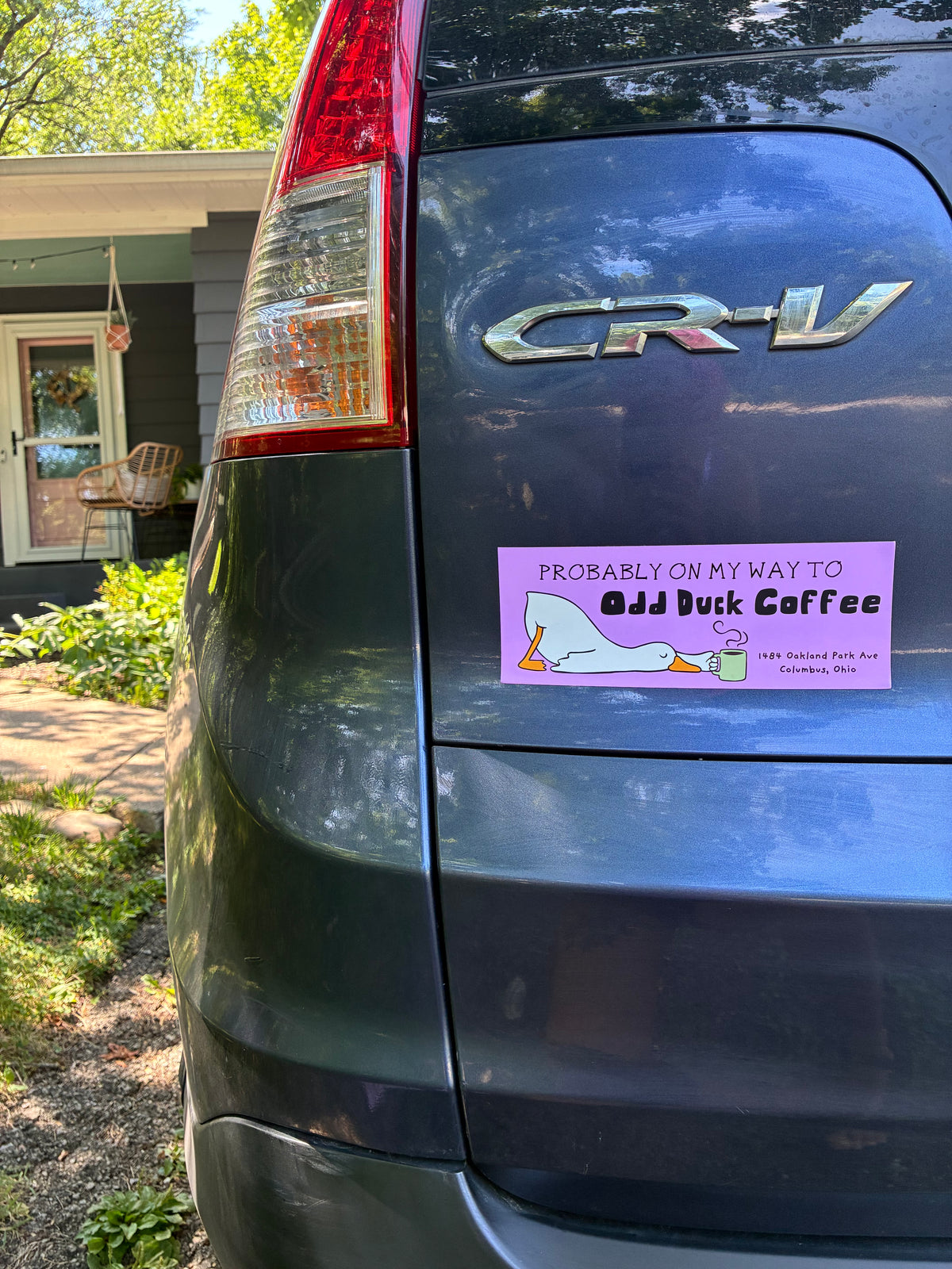 Bumper Magnet